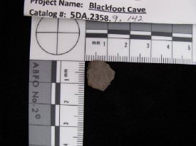 Ceramic sherd