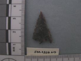 Projectile Point
