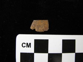 Projectile Point