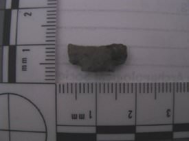 Projectile Point