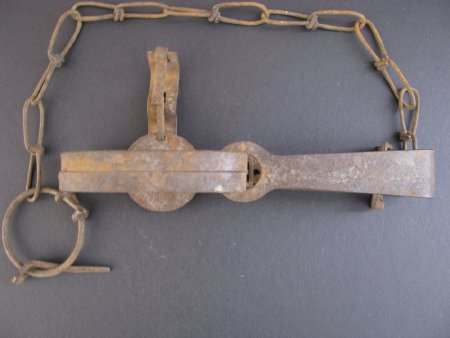 Small Game Trap