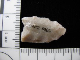 Projectile Point