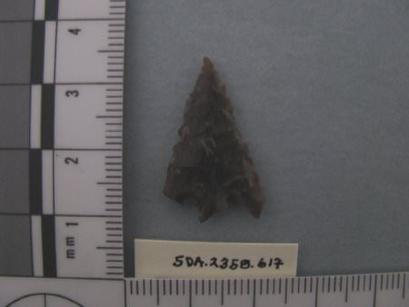 Projectile Point