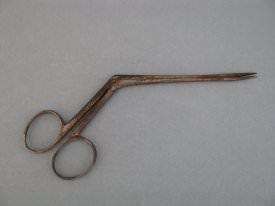 Forceps                                 