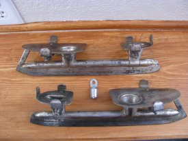 Skates, Ice                             