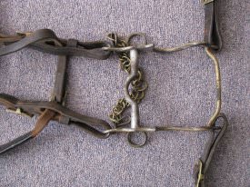 Bridle Bit