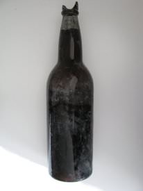 Bottle