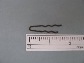 Hairpin