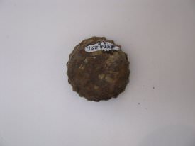 Cap, Bottle