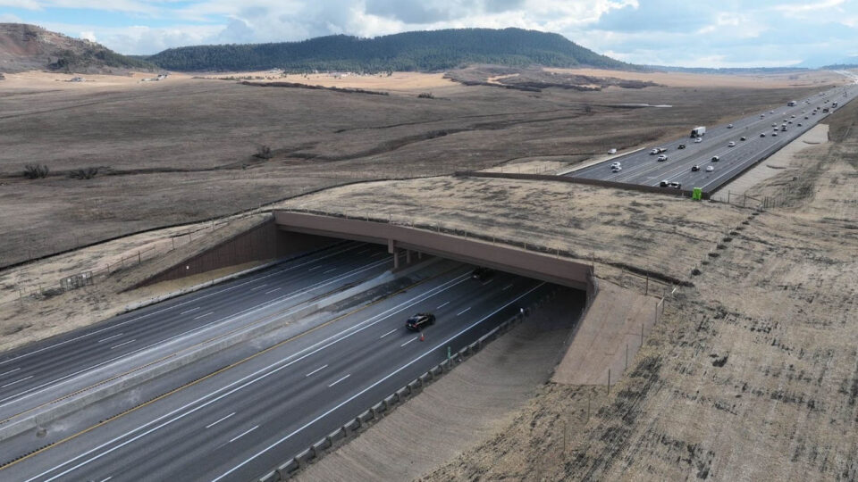 I-25 Greenland wildlife overpass