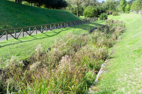 A vegetated channel along a path for collecting and filtering stormwater